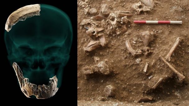 Investigadores israelíes hallaron restos de una nueva especie de hombre prehistórico | Tecnología