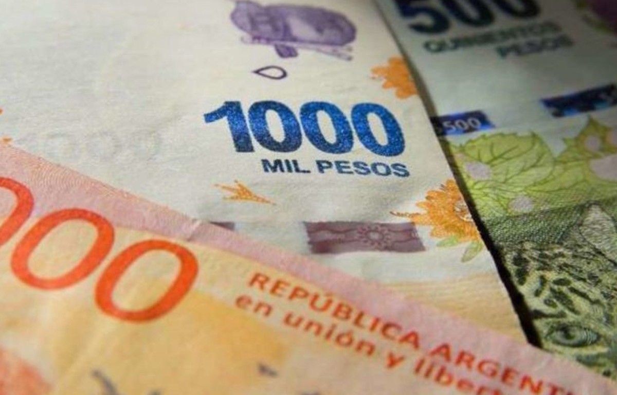 Bono especial de $ 11.000: quiénes lo cobran y por cuánto tiempo | Servicios