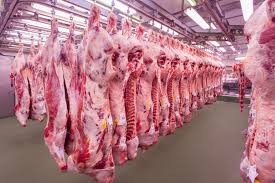 Advierten que el consumo de carne se encuentra en el nivel más bajo de la historia | Información General