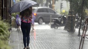 Lluvias y tormentas sobre la ciudad de Rosario | Servicios