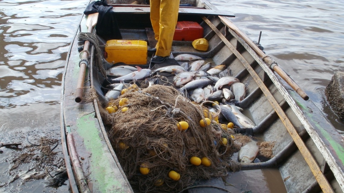 Hoy comienza el pago de ayuda económica a pescadores | Rosario y la región