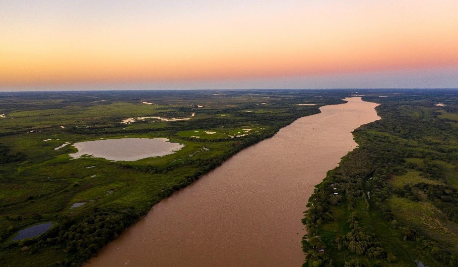 Inteligencia artificial y biodiversidad: Estudiarán por primera vez el microbioma del río Paraná | Rosario y la región