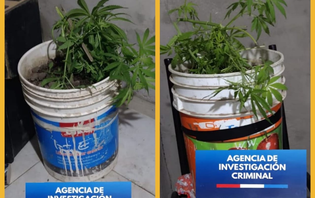 Detienen a un ladrón con joyas, dinero en efectivo y marihuana | Información General