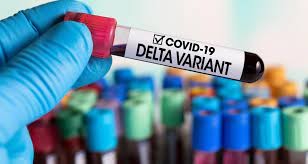 La variante Delta duplica el riesgo de hospitalización por coronavirus | Información General