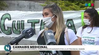 Cannabis Medicinal: solicitan la creación del Consejo Asesor | Información General