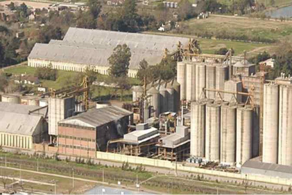 Molino Cañuelas se presentó en concurso preventivo de acreedores | Información General