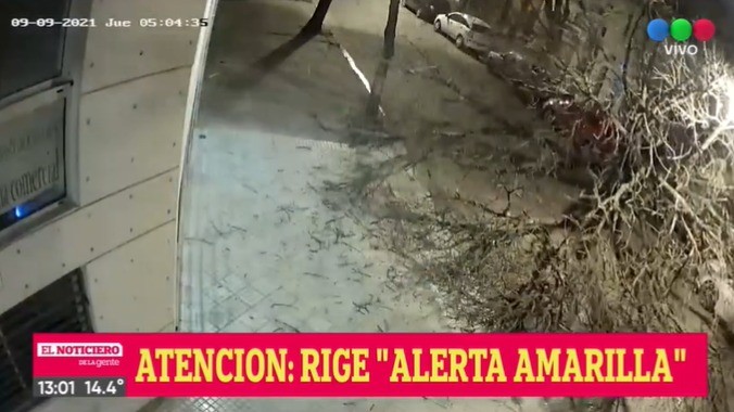 El viento no para y hay árboles caídos, vidrios rotos y voladura de persianas | Rosario y la región