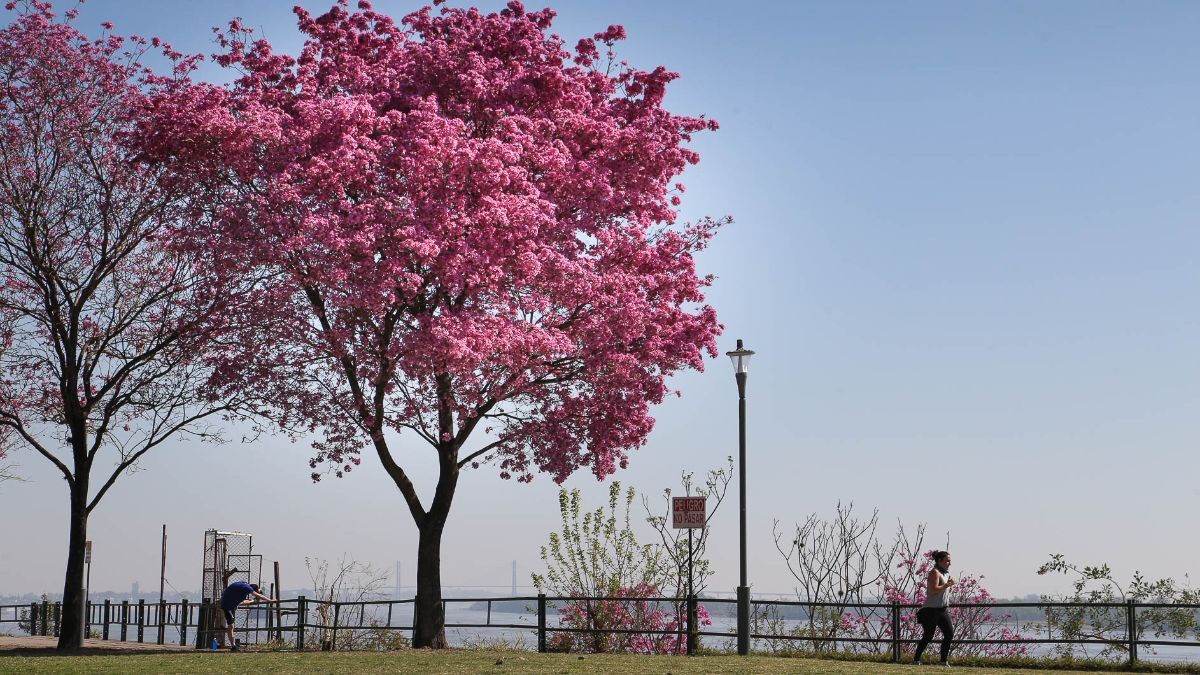 Se va despidiendo el invierno con cielo despejado y temperatura en ascenso | Servicios