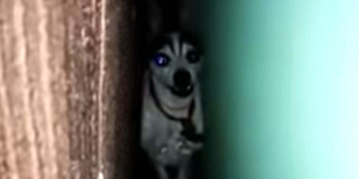 “Hola Juan Carlos”: la historia detrás del viral que la rompe en redes sociales | Tecnología