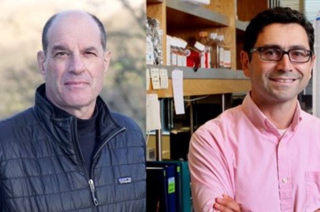 Nobel de Medicina para dos científicos por descubrimiento de receptores para temperatura y tacto | Tecnología