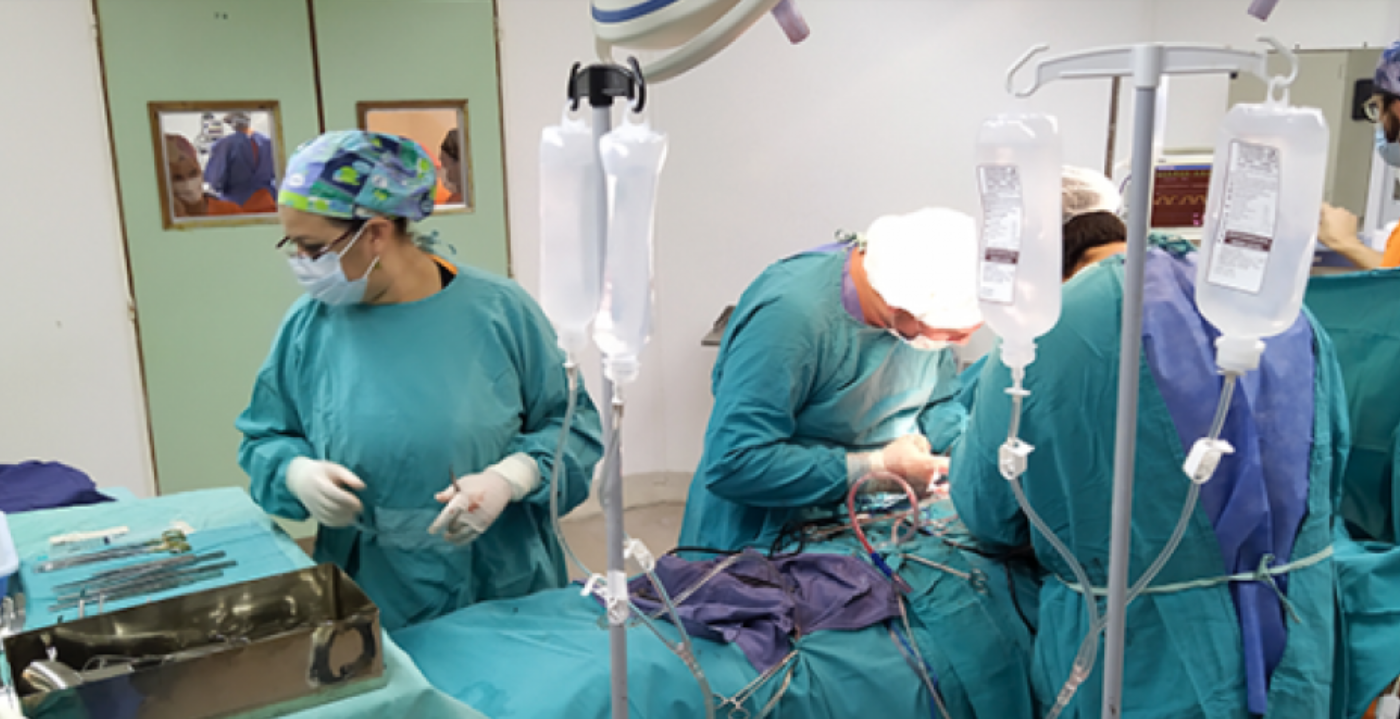 Santa Fe sigue siendo la segunda provincia con más donantes de órganos | Información General