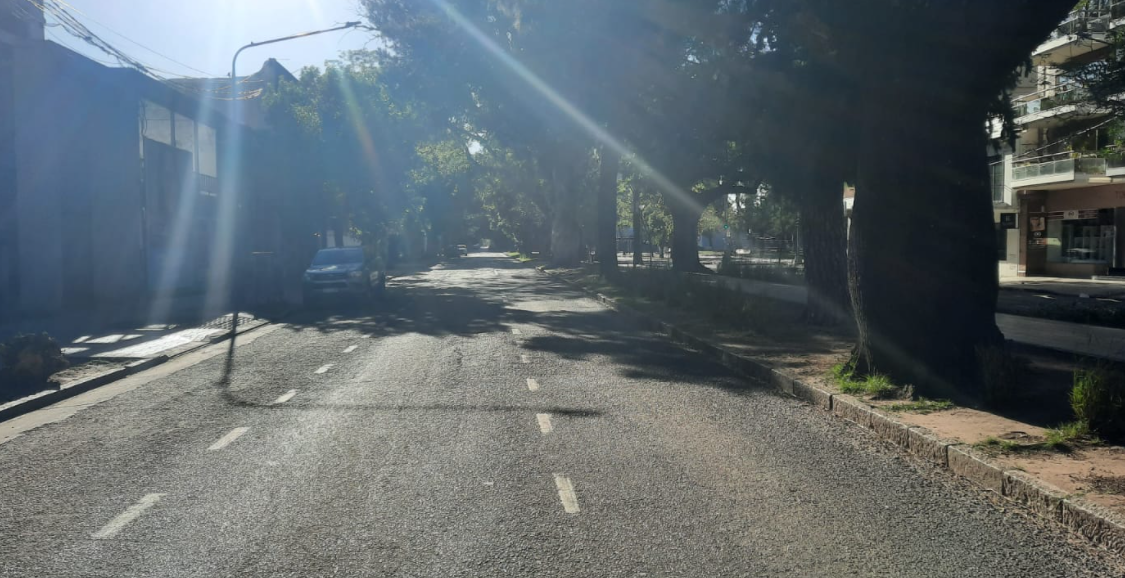 La semana empieza soleada y con tiempo primaveral en la ciudad | Servicios