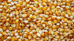 Bajaron retenciones a productos del campo: ¿Cómo quedaron? | Economía y negocios