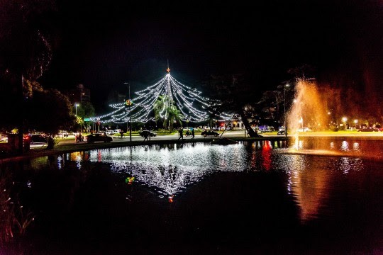 Celebrar las fiestas sin pirotecnia: su uso afecta a personas y a animales | Rosario y la región