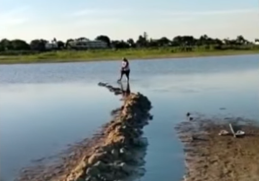 Quién es el ex Gran Hermano que se convirtió en “rescatista” de peces | Tecnología