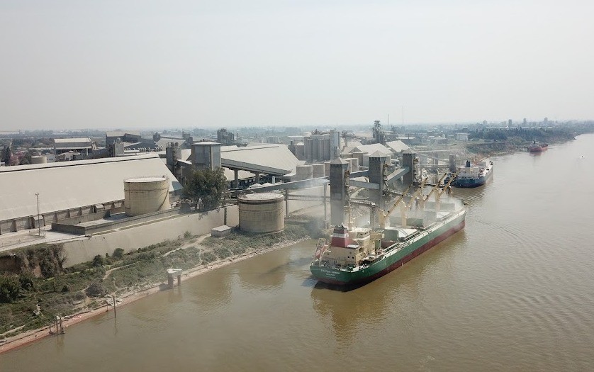 Por el aumento de casos, empresas exportadoras de granos y aceiteras piden poder utilizar los auto tests | Economía y negocios