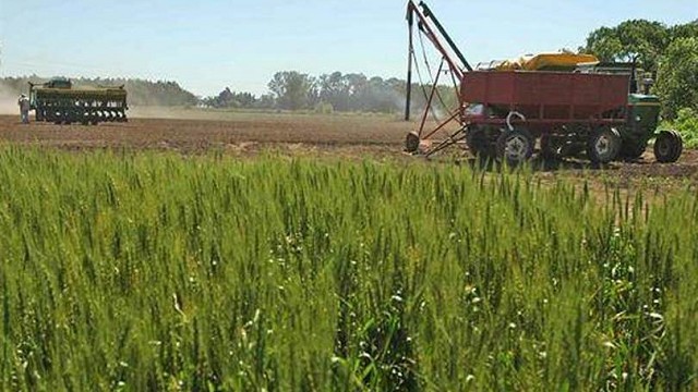 Las lluvias abrieron nuevas expectativas en los productores agrícolas | Servicios