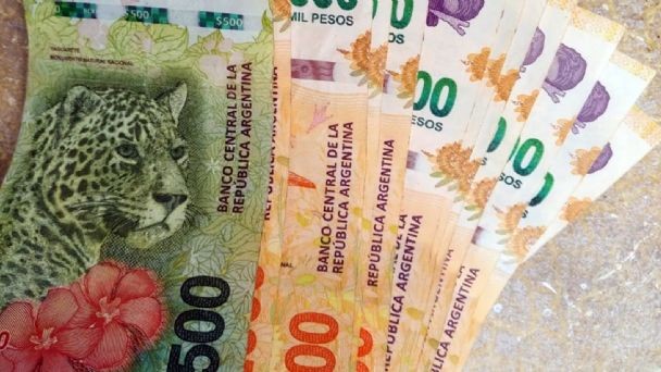 Cómo acceder al extra de $10.772 por la Libreta de Asignación Universal | Servicios