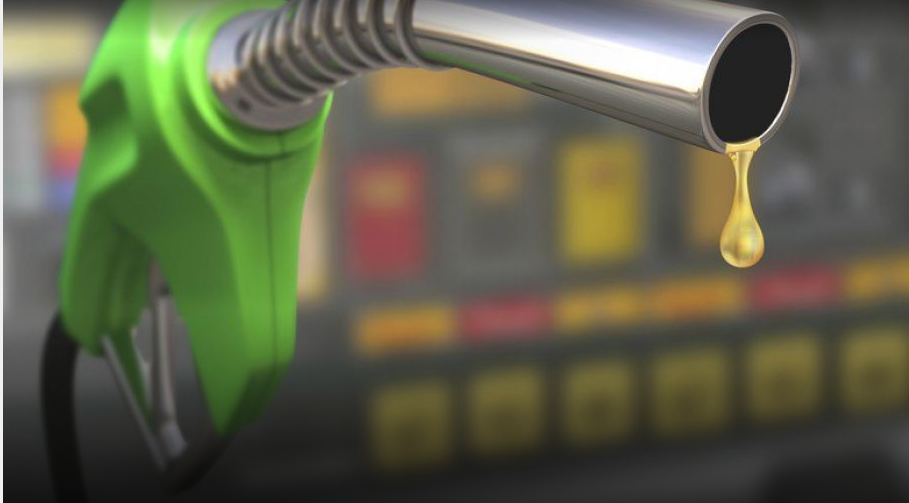 La provincia propone a la Nación aumentar el corte de biodiesel para atender la demanda de combustibles | Economía y negocios