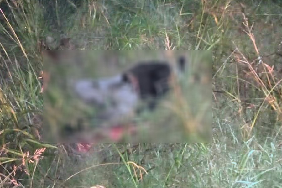 Horror en autopista: hallaron hombre asesinado de múltiples disparos | Rosario y la región