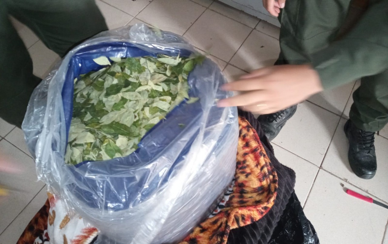 Descubrieron 244 kilos de hojas de coca en una encomienda que viajaba por Ruta 34 | Rosario y la región