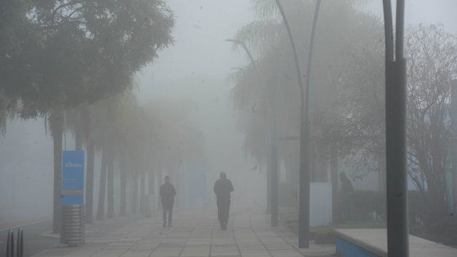 El fin de semana comienza con niebla y temperaturas en ascenso | Servicios