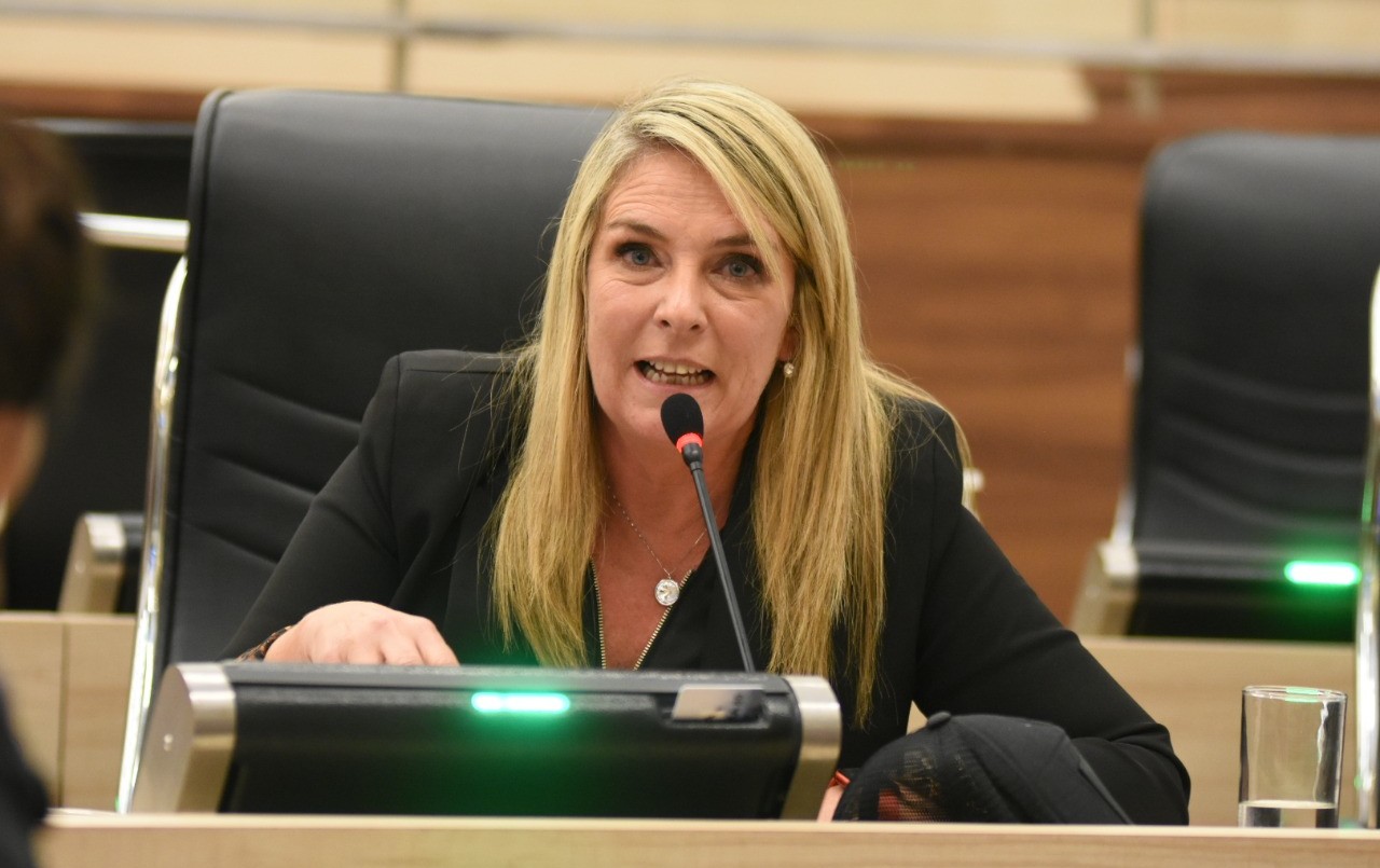 Tenso debate en el Concejo por las cajas de alimentos del Plan Cuidar | Rosario y la región