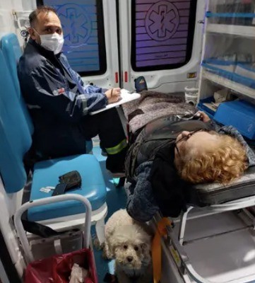 Amor perruno: Jana acompañó a su dueña en la ambulancia rumbo al hospital | Rosario y la región