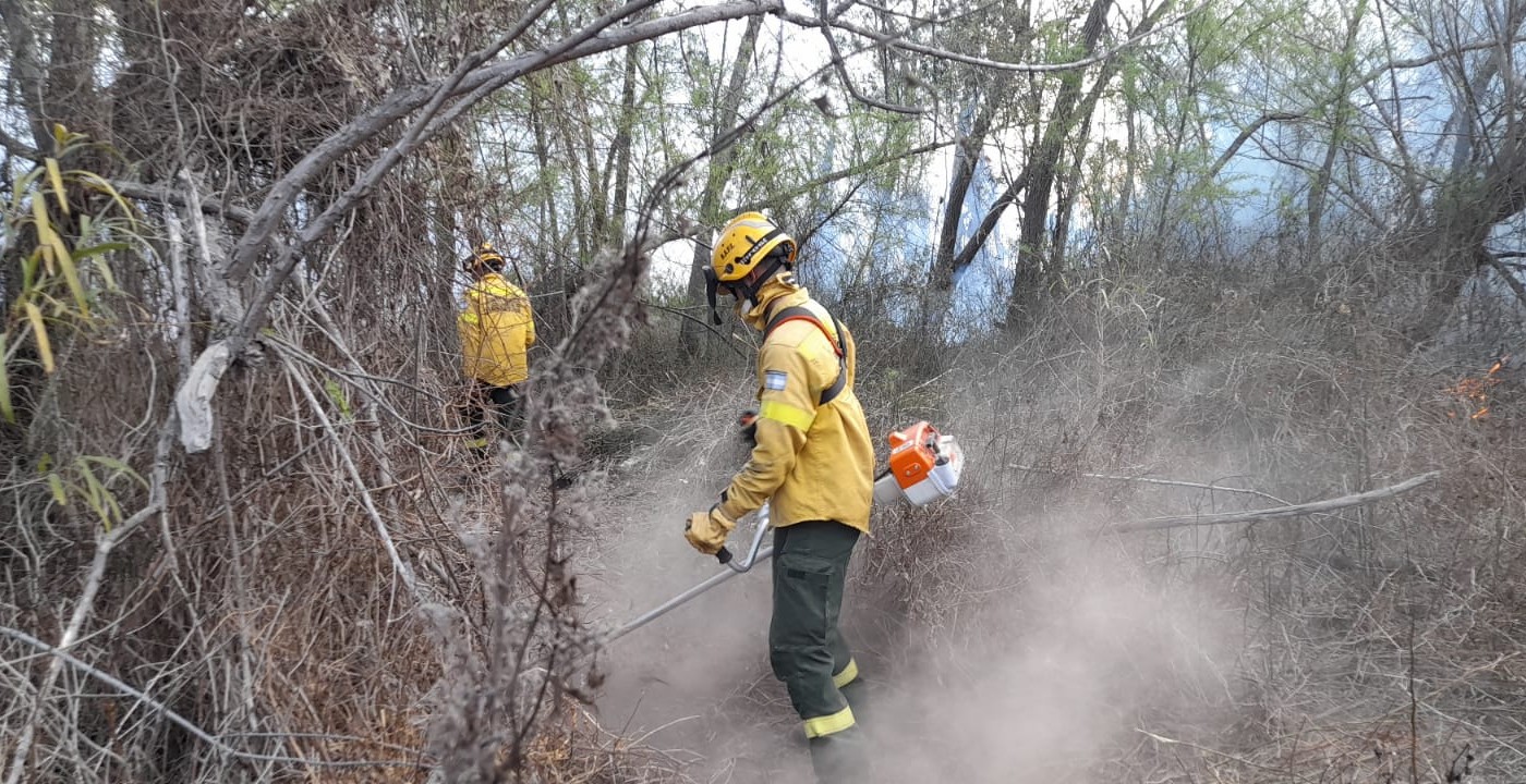 Santa Fe realizó una nueva presentación en la Justicia Federal por los focos ígneos en el Delta del Paraná | Información General