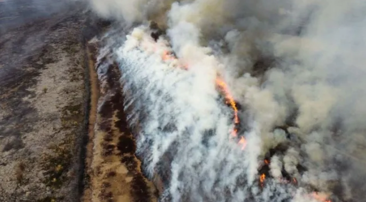 Denuncia penal por la construcción de terraplenes en las islas del Paraná | Información General