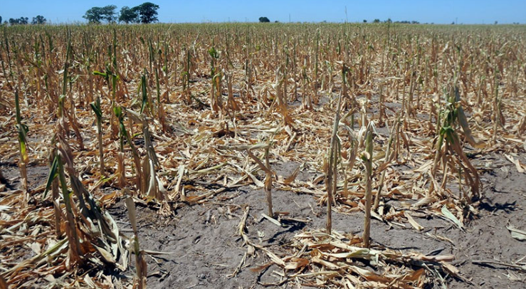 Alarmante: Estiman que el 55% del país se encuentra bajo los efectos de la sequía | Política y Economía