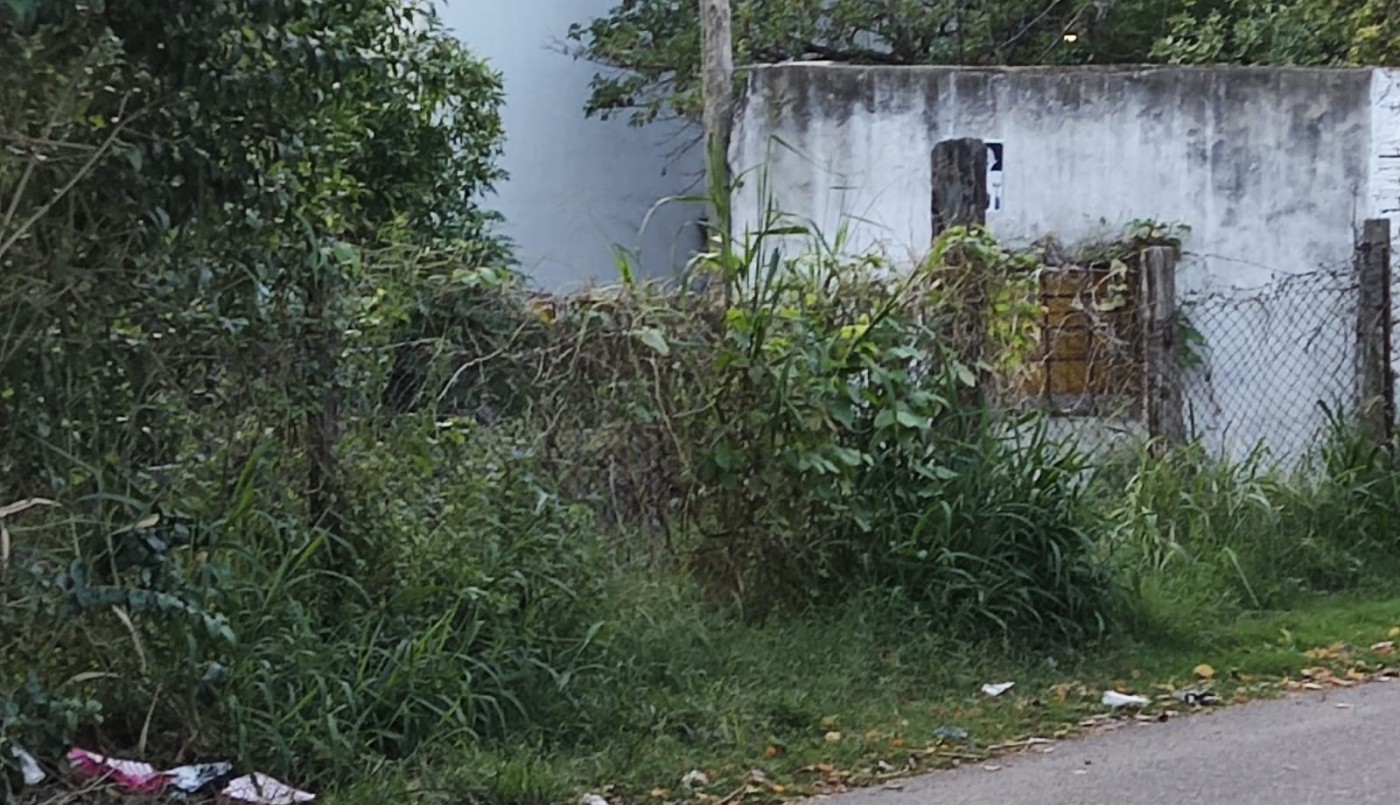 Scouts de dudosa procedencia: suciedad, dengue y agresiones | Rosario y la región