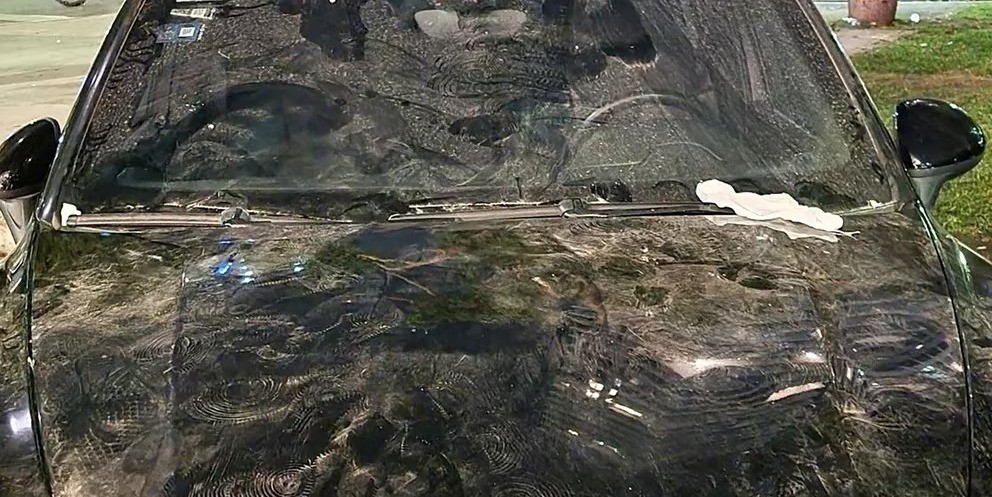 Hinchas de Colo-Colo destrozaron una camioneta que vale más de 200 mil dólares | Información General