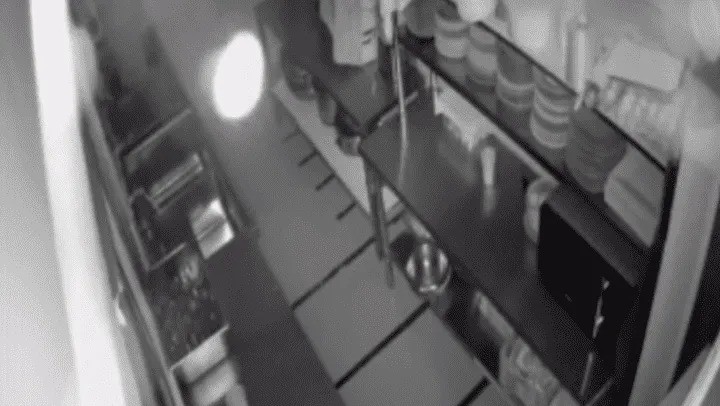 Video: sonó la alarma de su local, miró las cámaras y se encontró con algo aterrador | Información General