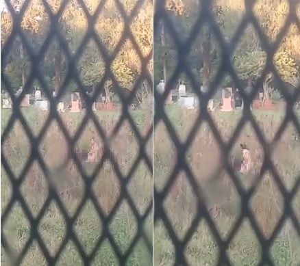Escandaloso video: una pareja fue sorprendida teniendo sexo en un cementerio | Información General
