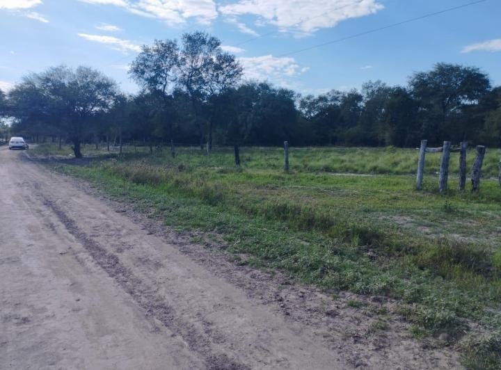 Asesinato y misterio en un campo de la región | Rosario y la región