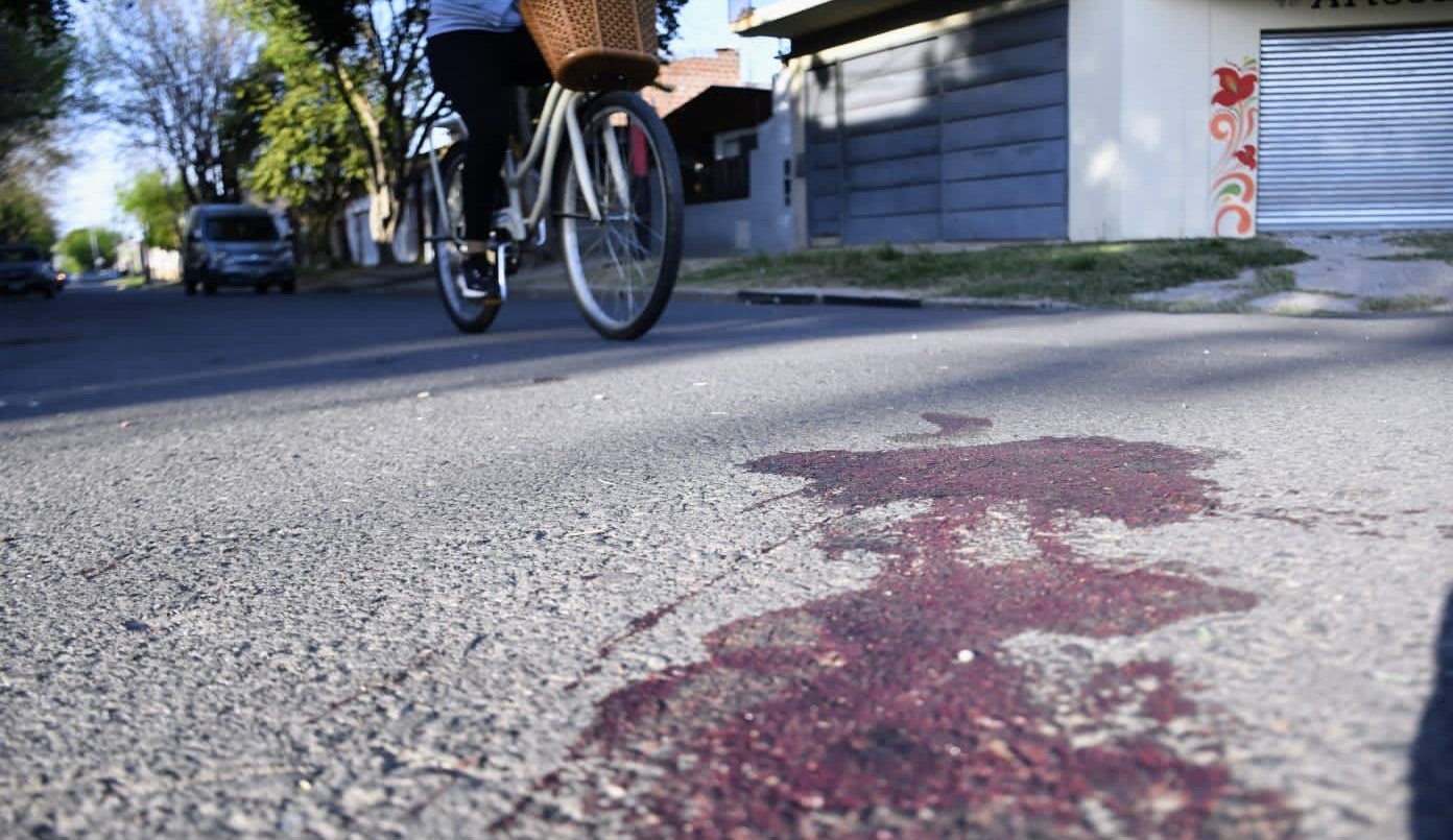 En zona sur una mujer fue baleada y se encuentra con pronóstico reservado en el Heca | Rosario y la región