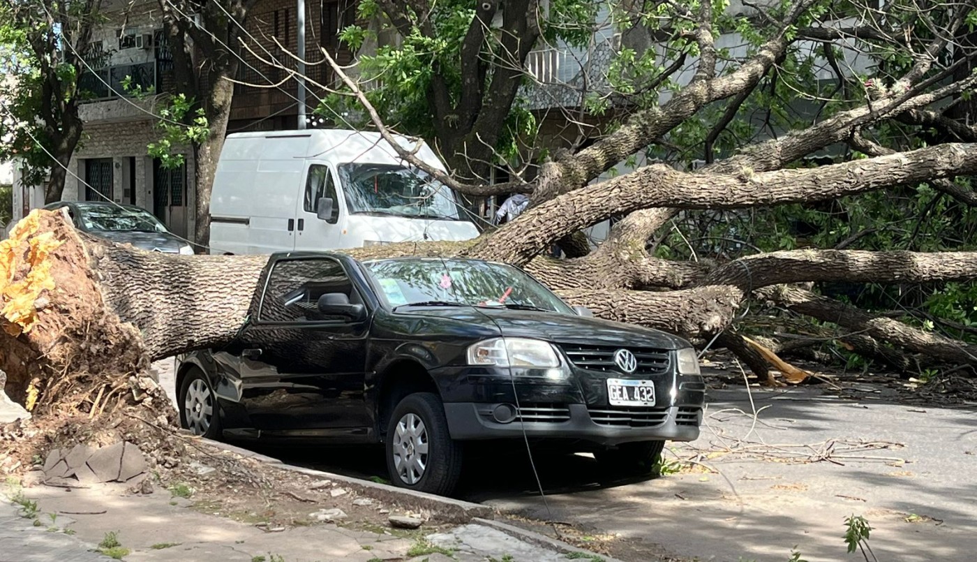 Alerta amarillo y caída de árboles por vientos fuertes en Rosario | Rosario y la región