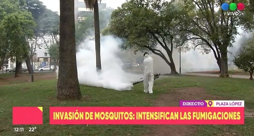 Intensifican las fumigaciones por la invasión de mosquitos | Rosario y la región