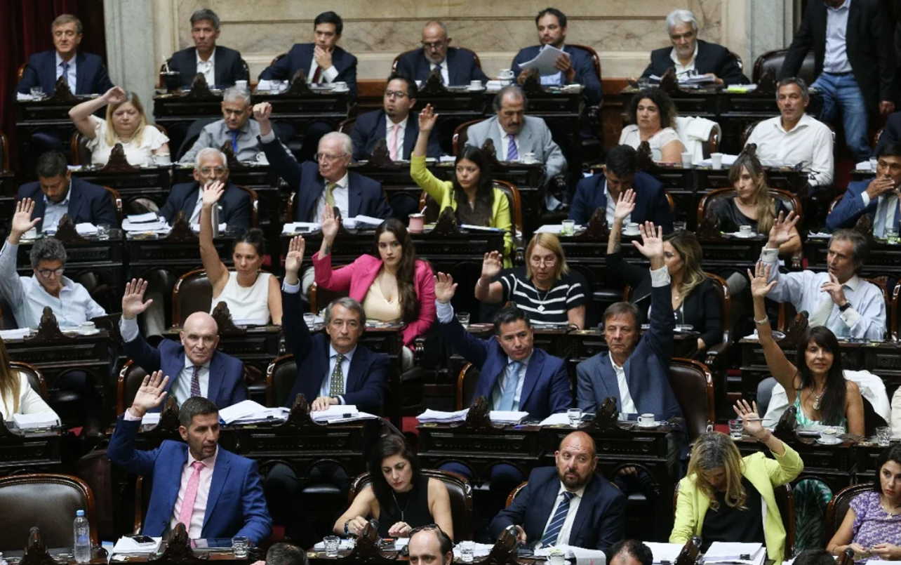 Emergencia: Diputados le aprobó las facultades especiales a Milei en seis áreas | Política y Economía