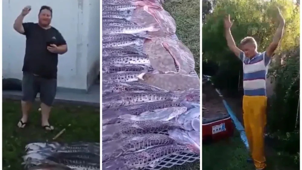 Dos cordobeses recibieron una multa millonaria por pescar 40 kilos de Surubí | Rosario y la región