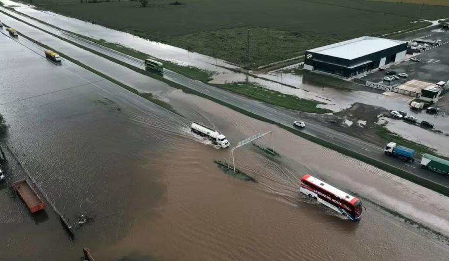 Árboles caídos, rutas inundadas y destrozos por la tormenta en Rosario | Rosario y la región