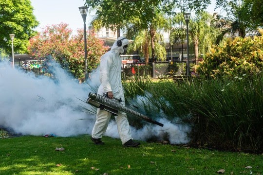Dengue: continúan los operativos de fumigación | Rosario y la región