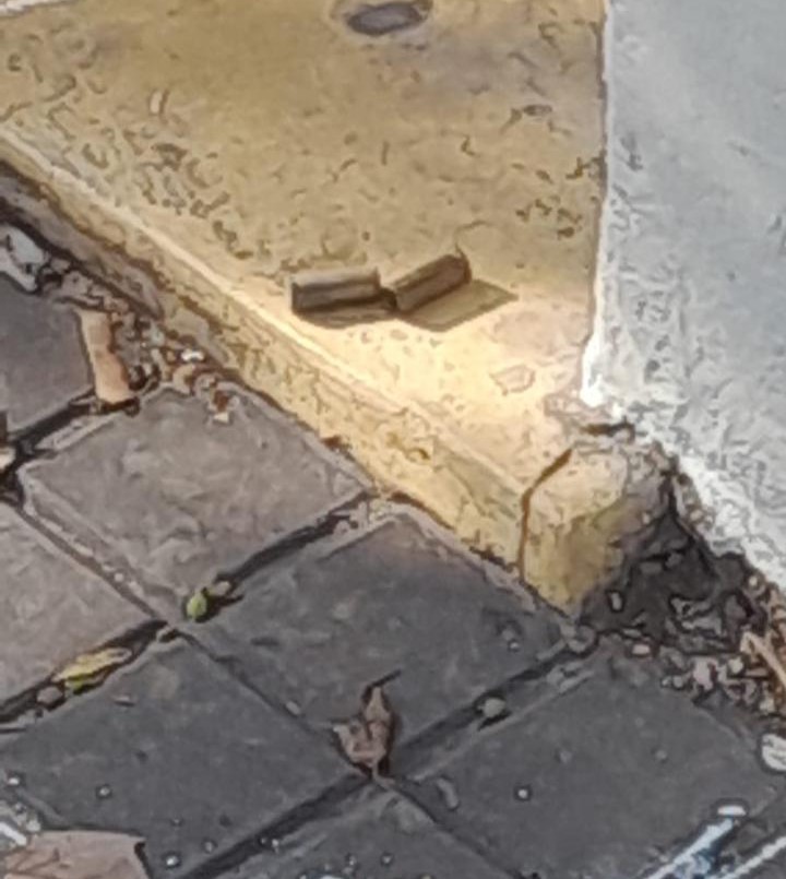 Dejaron balas en una escuela | Rosario y la región