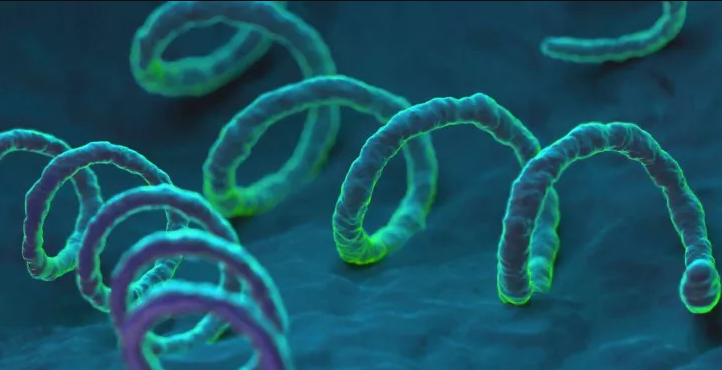 Preocupación por el aumento de casos de sífilis en Rosario | Información General