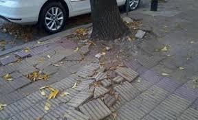 Javkin presentó un plan intensivo de reparación de veredas en toda la ciudad | Rosario y la región