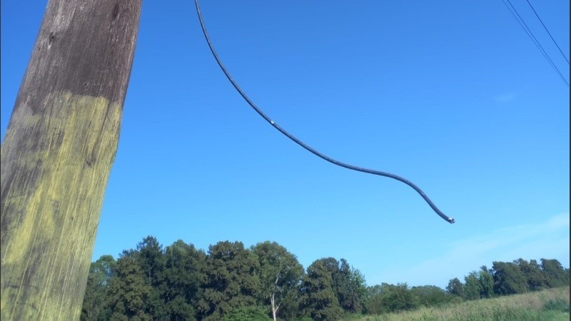 Sentenciaron a tres años de prisión a un robacable por acumular varias detenciones en cinco meses | Rosario y la región