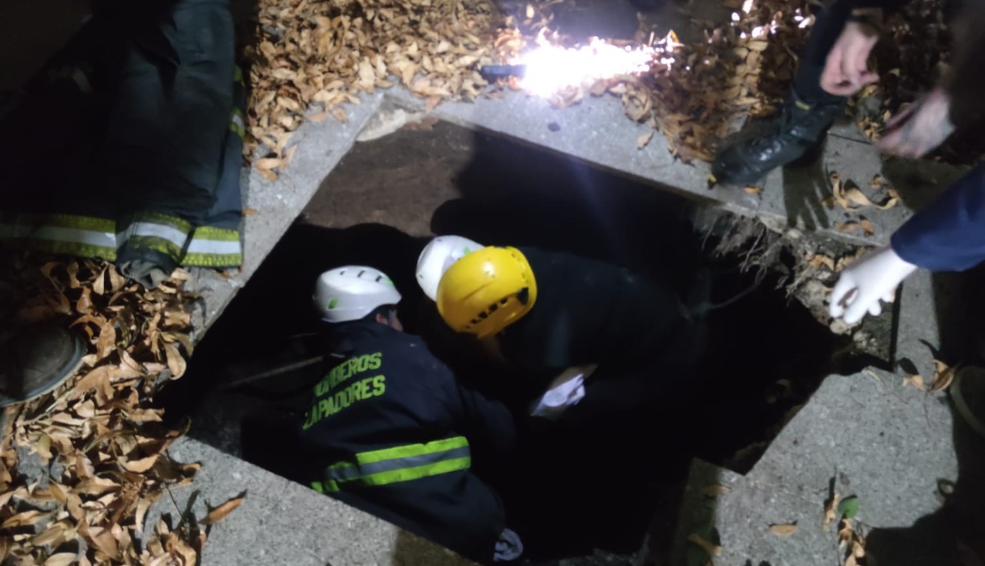 Rescataron a una mujer que cayó en un pozo en zona noroeste | Rosario y la región