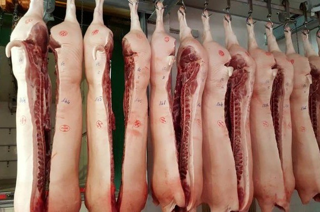 Alerta por brote de triquinosis en Acebal: medidas de precaución | Rosario y la región