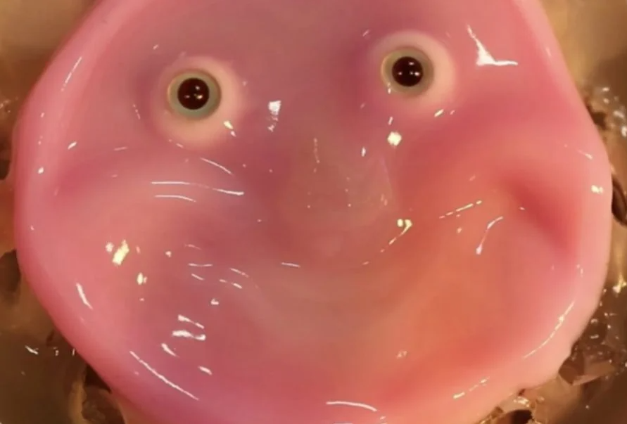Científicos crean robot sonriente con piel "viva" | Curiosidades